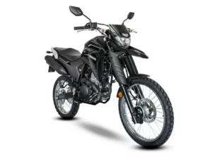 XTZ 250 ABS-15